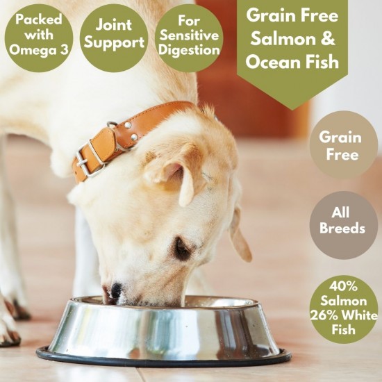 Fish wet hotsell dog food